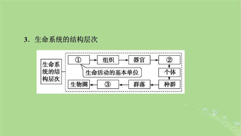 2025版高考生物一轮总复习必修1第1单元走近细胞和组成细胞的分子第1讲走近细胞课件07