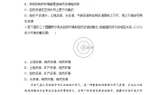 高中地理人教版 (2019)选择性必修3 资源、环境与国家安全第二节 自然资源及其利用同步达标检测题
