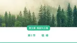人教版（2019）必修一 第五章第一节 植被课件