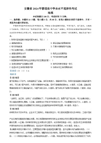 2024年高考真题——地理（安徽卷）试题（Word版附解析）