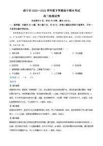 湖北省咸宁市2023-2024学年高二下学期6月期末联考地理试卷(Word版附解析)