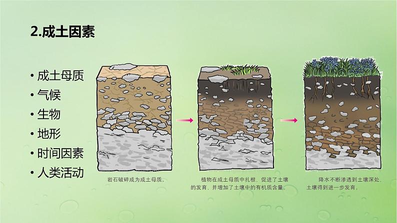 2024届湘教版新教材高考地理一轮复习第一部分自然地理第六章自然环境的整体性与差异性第1讲课时35土壤的形成课件04