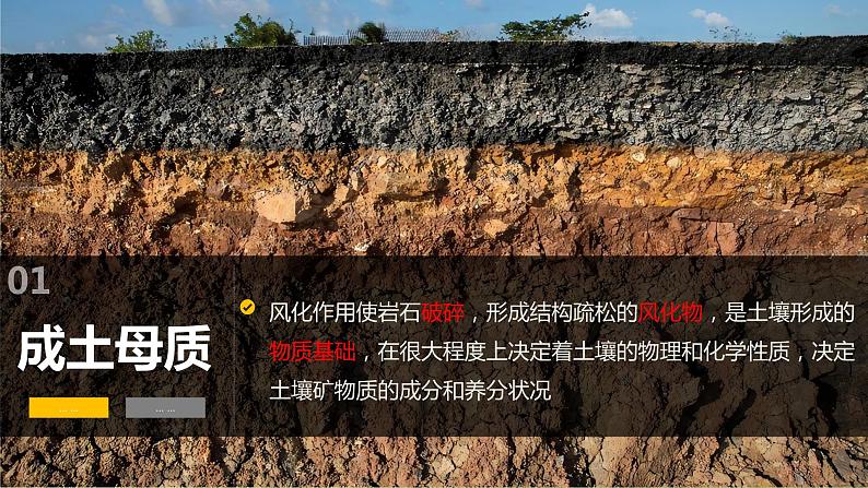 2024届湘教版新教材高考地理一轮复习第一部分自然地理第六章自然环境的整体性与差异性第1讲课时35土壤的形成课件05