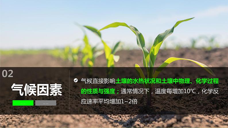 2024届湘教版新教材高考地理一轮复习第一部分自然地理第六章自然环境的整体性与差异性第1讲课时35土壤的形成课件07