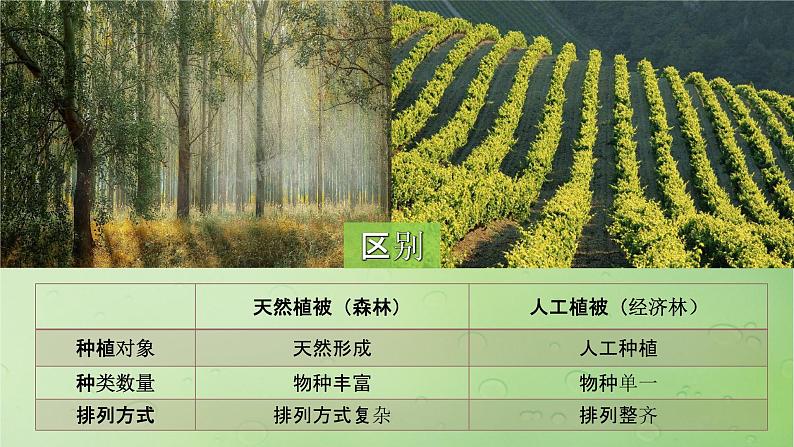 2024届湘教版新教材高考地理一轮复习第一部分第六章自然环境的整体性与差异性第1讲课时34主要植被与自然环境课件05