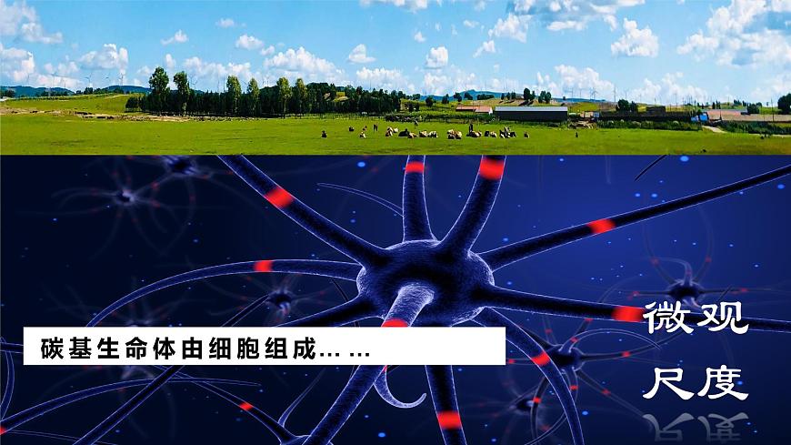 【新課標(biāo)】1.1 《多種多樣的區(qū)域》課件 -人教版地理選擇性必修2第8頁(yè)