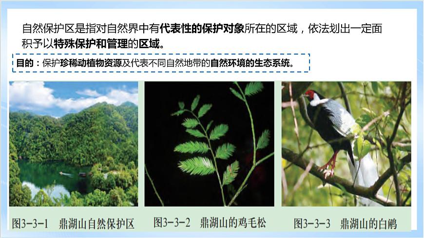 【新課標(biāo)】3.3《自然保護(hù)區(qū)與生態(tài)安全》課件第8頁