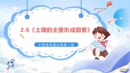 高中地理中图版 (2019)必修 第一册第六节 土壤的主要形成因素优秀ppt课件