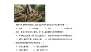 地理第七节 植被与自然地理环境的关系精品习题