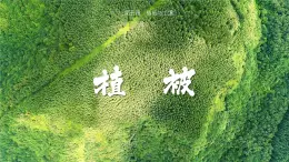 人教版地理必修第一册 5.1《植被》课件PPT