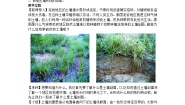高中地理湘教版 (2019)必修 第一册第二节 土壤的形成第2课时教学设计