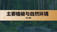 湘教版 (2019)必修 第一册第一节 主要植被与自然环境背景图ppt课件