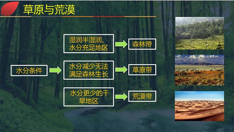 【同步课件】湘教版(2019)高中地理必修一 5.1《主要植被与自然环境》课件(第2课时)05