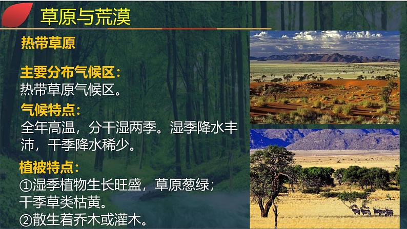 【同步课件】湘教版(2019)高中地理必修一 5.1《主要植被与自然环境》课件(第2课时)06