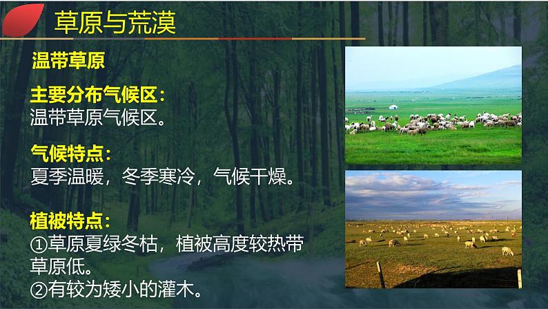 【同步课件】湘教版(2019)高中地理必修一 5.1《主要植被与自然环境》课件(第2课时)08