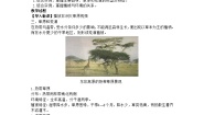 湘教版 (2019)必修 第一册第五章 地球上的植被与土壤第一节 主要植被与自然环境第2课时教学设计