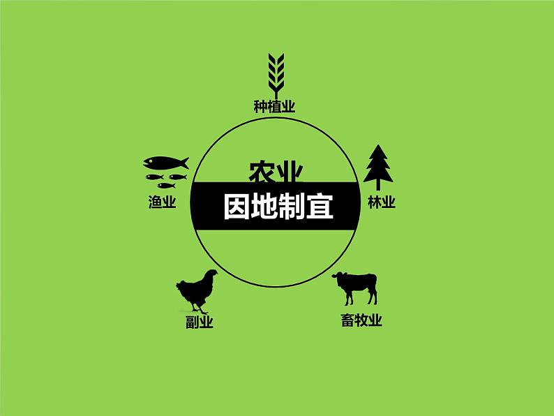 高中地理必修3第四章《区域经济发展》第1节《4.1区域农业发展》课件(人教版)第3页