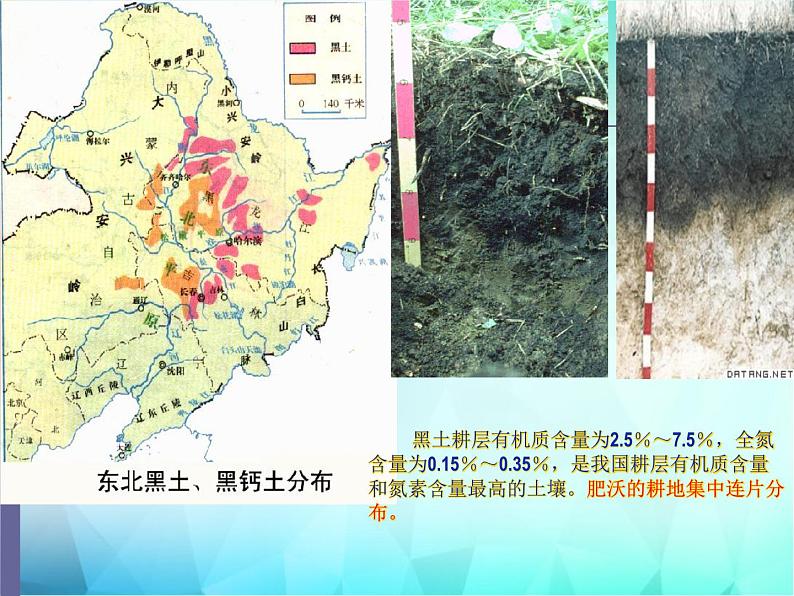 高中地理必修3第四章《区域经济发展》第1节《4.1区域农业发展》课件(人教版)第8页
