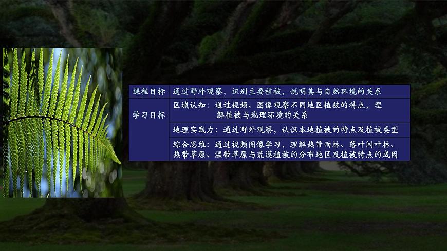 2.7植被與自然環(huán)境的關(guān)系A(chǔ)（精品課件） 第2頁(yè)