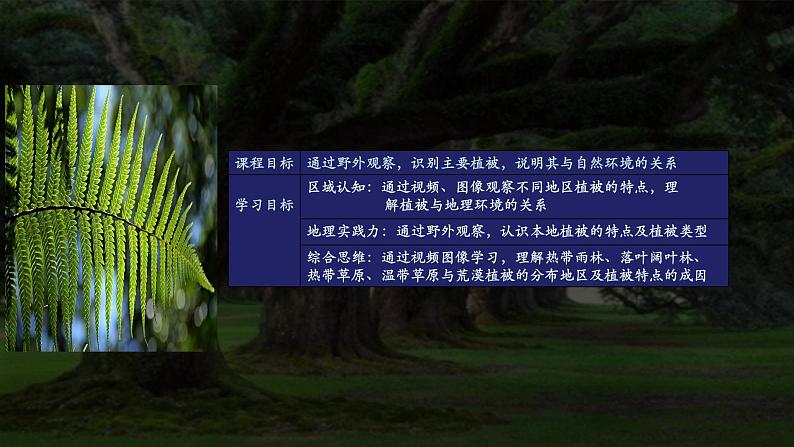2.7植被与自然环境的关系A(精品课件) 第2页