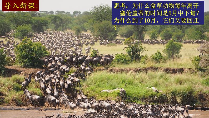 2.7植被与自然环境的关系A(精品课件) 第4页
