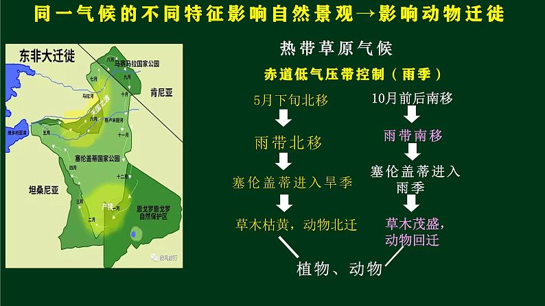 2.7植被与自然环境的关系A(精品课件) 第5页