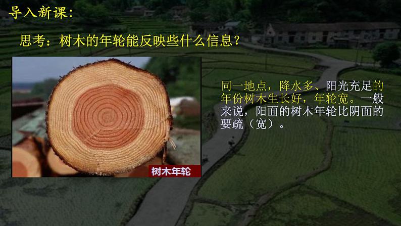 2.7植被与自然环境的关系A(精品课件) 第6页