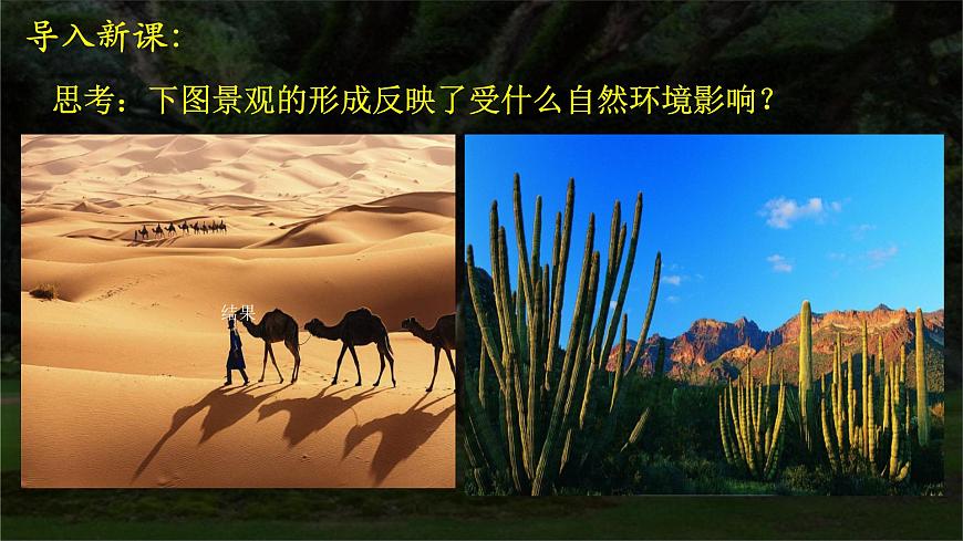 2.7植被與自然環(huán)境的關(guān)系A(chǔ)（精品課件） 第7頁(yè)