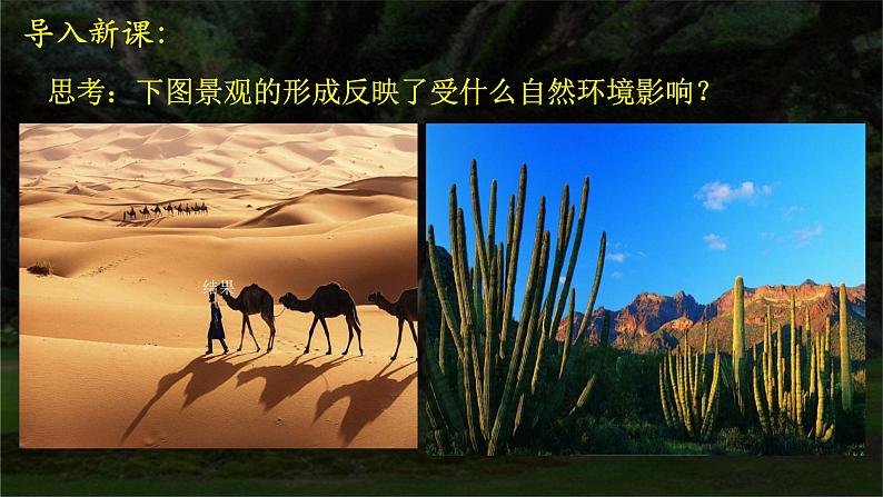 2.7植被与自然环境的关系A(精品课件) 第7页