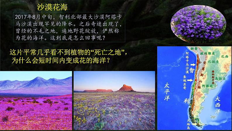 2.7植被与自然环境的关系A(精品课件) 第8页