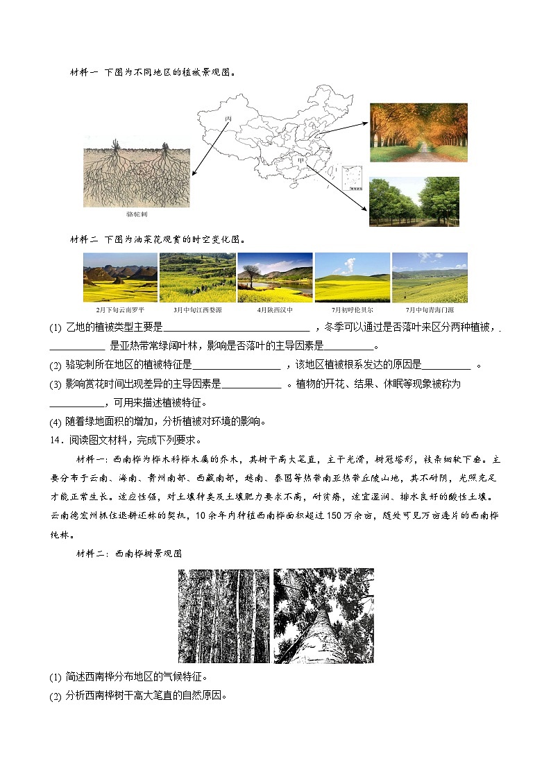 2.7 植被與自然環(huán)境的關(guān)系（分層練）（原卷版）第3頁(yè)