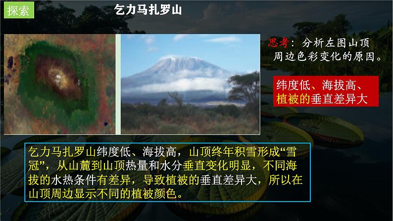 中图版新教材必修一 2.7植被与自然环境的关系(精品课件)B第3页