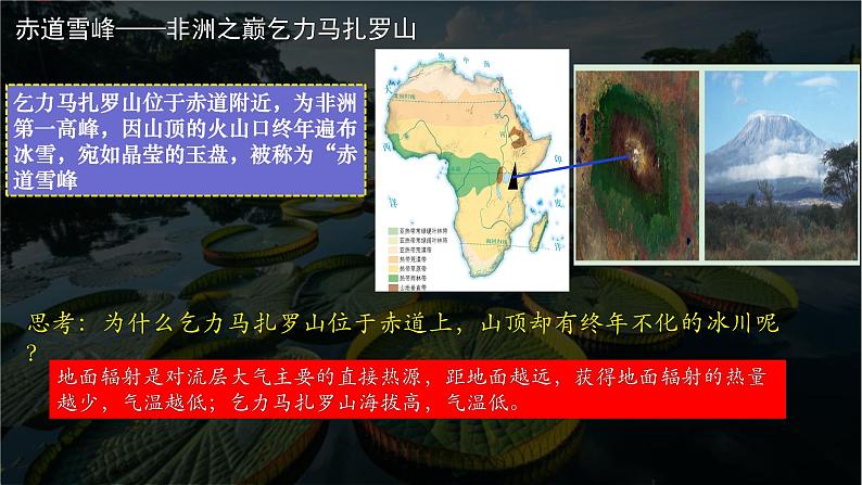 中图版新教材必修一 2.7植被与自然环境的关系(精品课件)B第4页