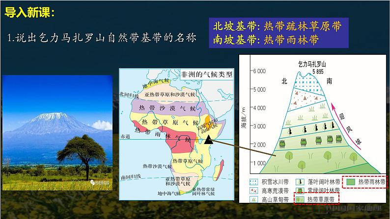 中图版新教材必修一 2.7植被与自然环境的关系(精品课件)B第5页