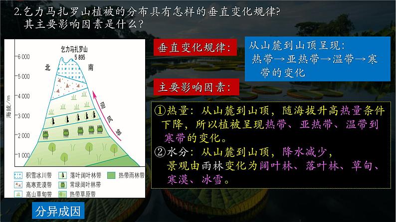 中图版新教材必修一 2.7植被与自然环境的关系(精品课件)B第6页