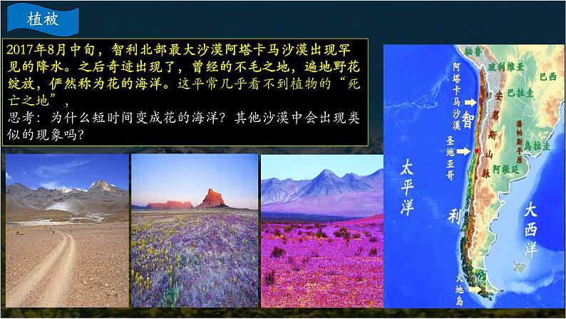 中图版新教材必修一 2.7植被与自然环境的关系(精品课件)B第7页