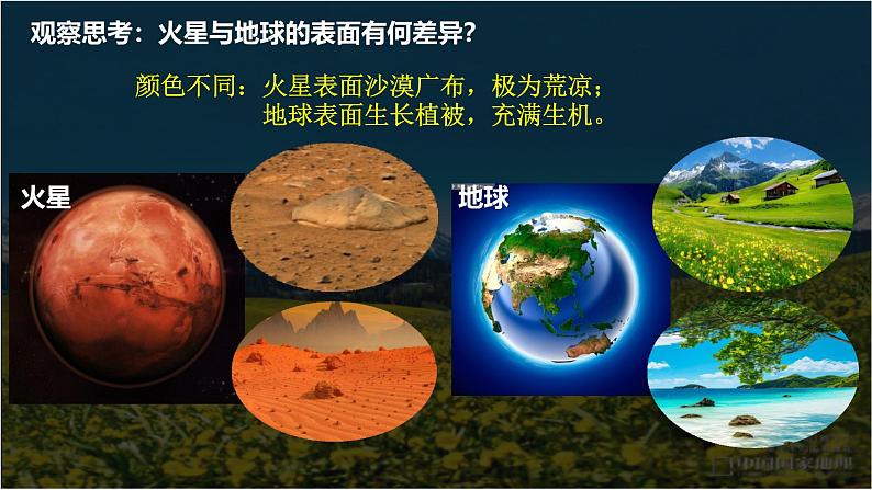 中图版新教材必修一 2.7植被与自然环境的关系(精品课件)B第8页
