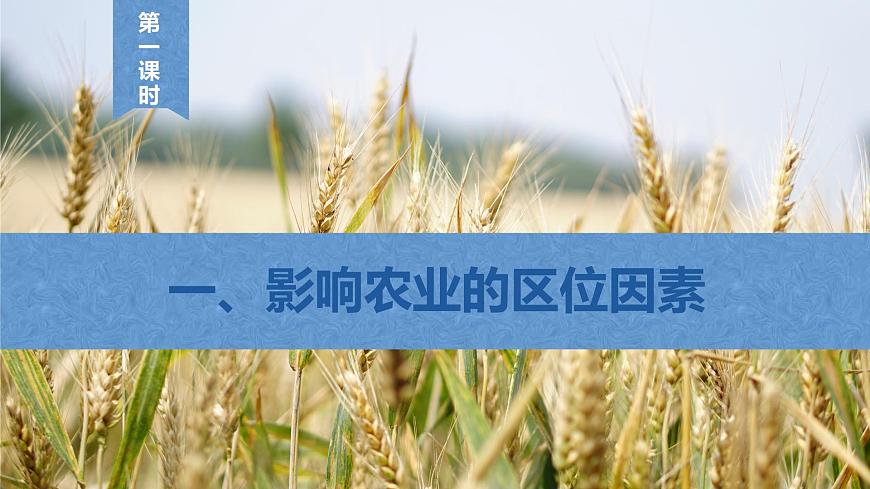 【新教材】魯教版高中地理必修第二冊(cè) 3.1.1《農(nóng)業(yè)的區(qū)位選擇》課件（2）第4頁(yè)