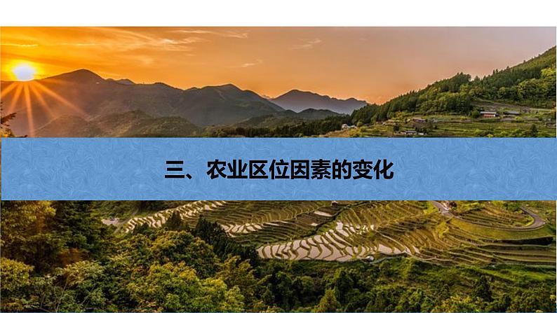 【新教材】鲁教版高中地理必修第二册 3.1.2《农业的区位选择》课件(1)03