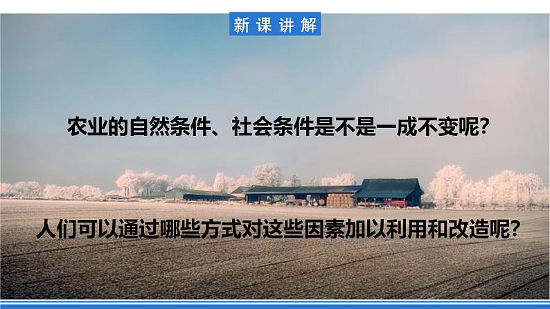 【新教材】鲁教版高中地理必修第二册 3.1.2《农业的区位选择》课件(1)04