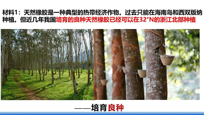 【新教材】鲁教版高中地理必修第二册 3.1.2《农业的区位选择》课件(1)07