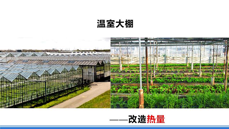 【新教材】鲁教版高中地理必修第二册 3.1.2《农业的区位选择》课件(1)08
