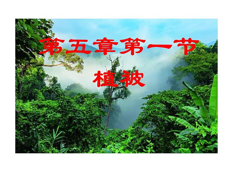 人教版高中地理必修一第五章第一节植被课件(共2课时内含视频)第2页