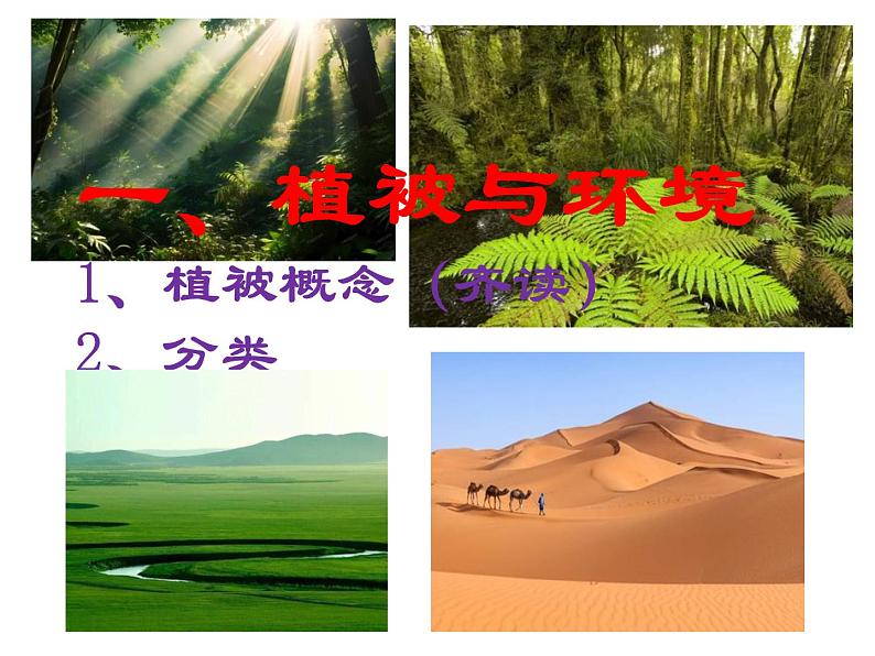 人教版高中地理必修一第五章第一节植被课件(共2课时内含视频)第5页
