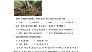 中图版 (2019)必修 第一册第七节 植被与自然地理环境的关系优秀课时训练