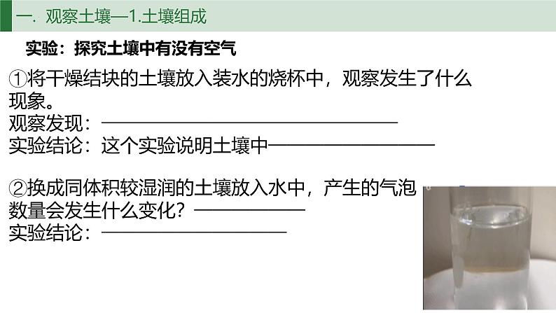 5.2土壤课件2024-2025学年高中地理人教版(2019)必修一第6页