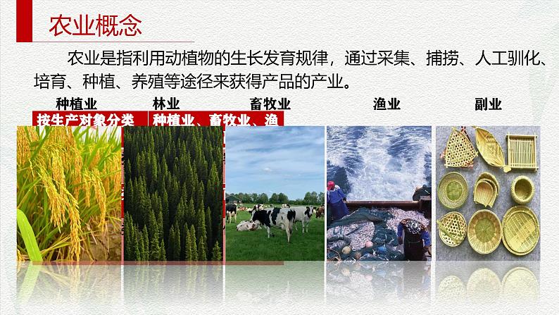3.1农业区位因素及其变化课件2024-2025学年高中地理 人教版(2019)必修第二册第5页