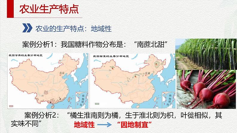 3.1农业区位因素及其变化课件2024-2025学年高中地理 人教版(2019)必修第二册第6页