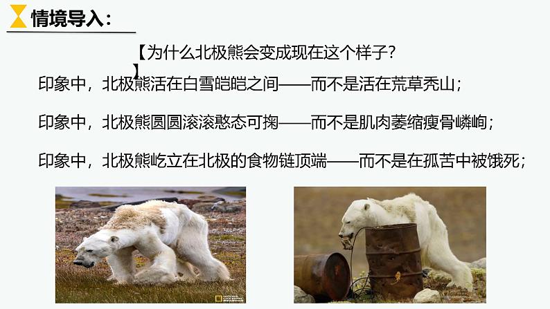 5.1人类面临的主要环境问题课件高一年级第二学期地理人教版(2019)必修第二册06