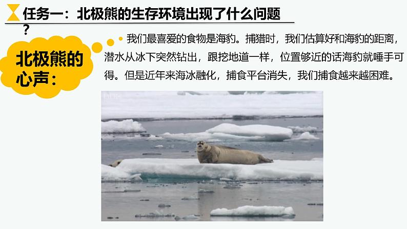 5.1人类面临的主要环境问题课件高一年级第二学期地理人教版(2019)必修第二册07